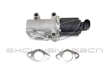 EGR Valve (EEG-AF02)