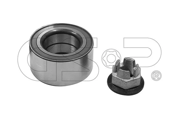 Wheel Bearing Kit (GSP-GK00X18)