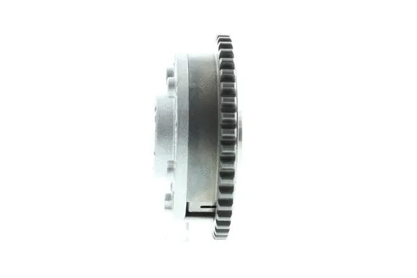 Actuator, exentric shaft (variable valve lift) (AIS-VCB003)