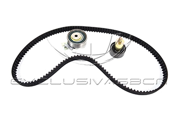 Timing Belt Kit (MTK-5W12)