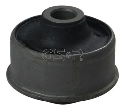 Mounting, control/trailing arm (GSP-513205)