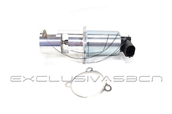 EGR Valve (EEG-NR27)