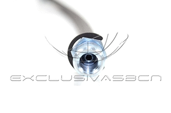 Holding Bracket, brake hose