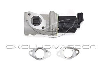EGR Valve