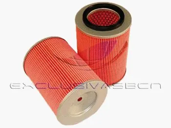 Air Filter (MAF-3110)