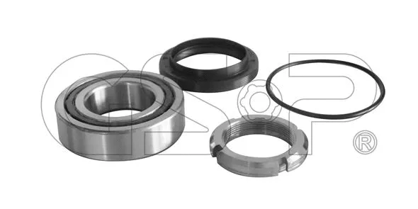 Wheel Bearing Kit (GSP-GK00X49)