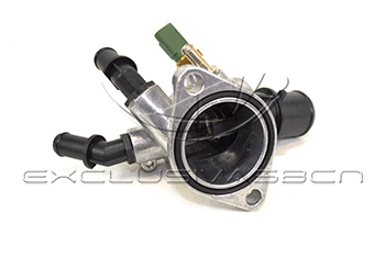 Thermostat, coolant