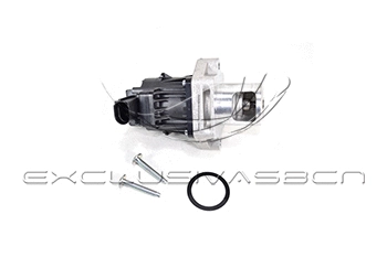 EGR Valve (EEG-AF01)