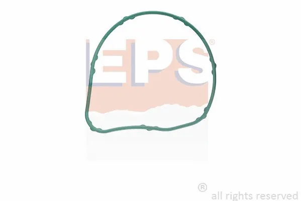 Gasket, thermostat housing