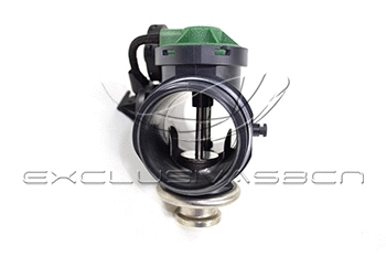 EGR Valve (EEG-CP22)