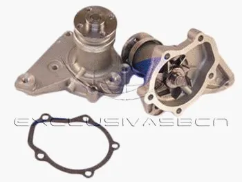Water Pump, engine cooling (MWP-4802)