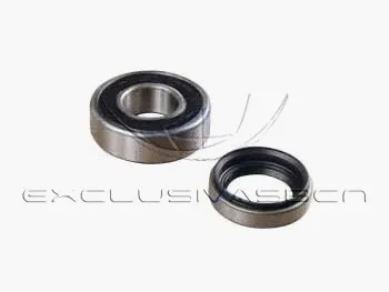 Wheel Bearing Kit (MWB-R9002)