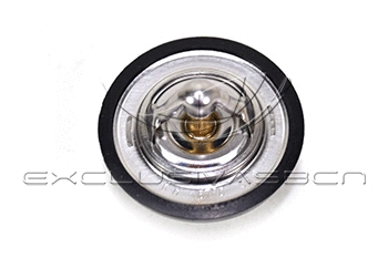Thermostat, coolant