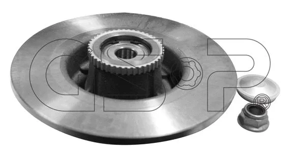 Brake Disc (GSP-9225018K)