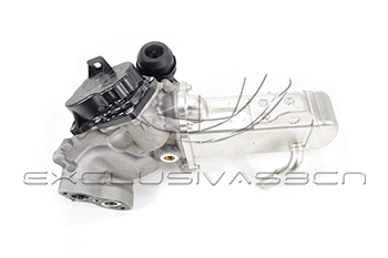 EGR Valve (EEG-CP05)