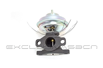 EGR Valve (EEG-HK01)