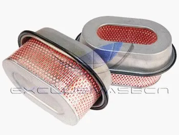 Air Filter (MAF-3583)