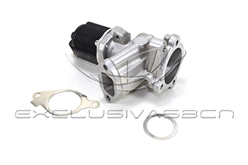 EGR Valve (EEG-AF15)