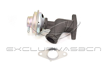 EGR Valve (EEG-CP19)