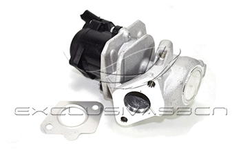 EGR Valve (EEG-CP02)