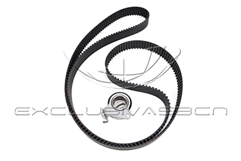 Timing Belt Kit