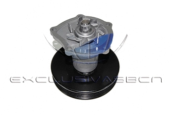 Water Pump, engine cooling