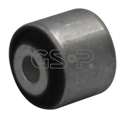 Mounting, control/trailing arm (GSP-510495)