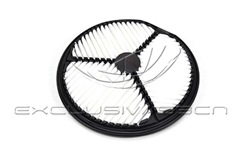 Air Filter (MAF-3W00)