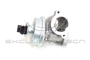 EGR Valve (EEG-FO41)