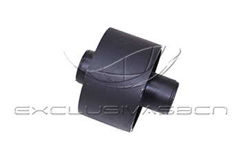 Mounting, control/trailing arm