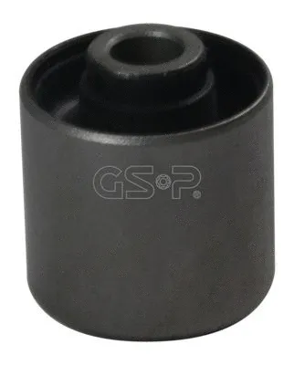Mounting, control/trailing arm (GSP-516024)