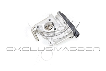 EGR Valve (EEG-TO08)