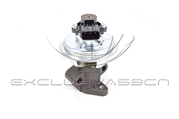 EGR Valve (EEG-FO09)
