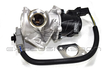 EGR Valve (EEG-FO04)