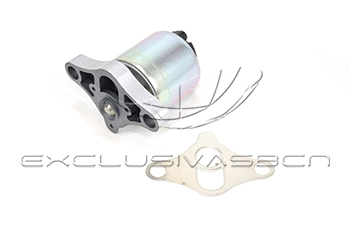 EGR Valve (EEG-OP03)