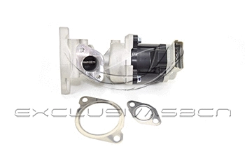 EGR Valve (EEG-LR08)