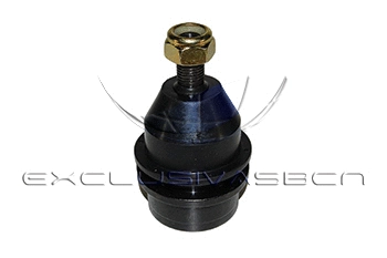 Ball Joint (MBJ-8905)