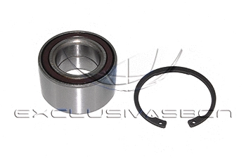 Wheel Bearing Kit (MWB-F6001)