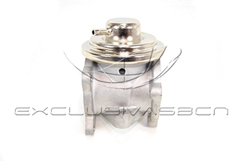 EGR Valve (EEG-VA24)