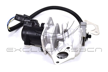 EGR Valve