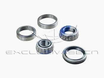 Wheel Bearing Kit (MWB-R3002)