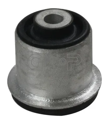 Mounting, control/trailing arm (GSP-531945)