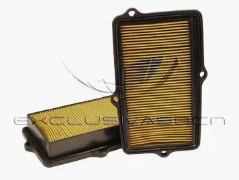 Air Filter (MAF-3498)