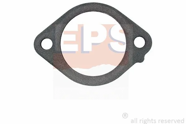 Gasket, thermostat housing