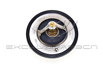 Thermostat, coolant