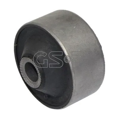 Mounting, control/trailing arm (GSP-516161)