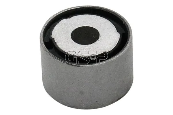 Mounting, differential (GSP-510432)