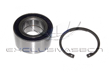 Wheel Bearing Kit (MWB-R3009)