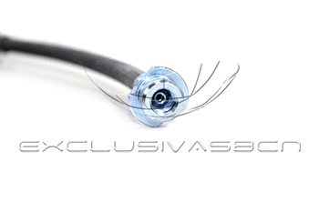 Holding Bracket, brake hose