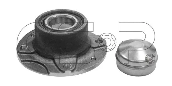 Wheel Bearing Kit (GSP-9230002S)